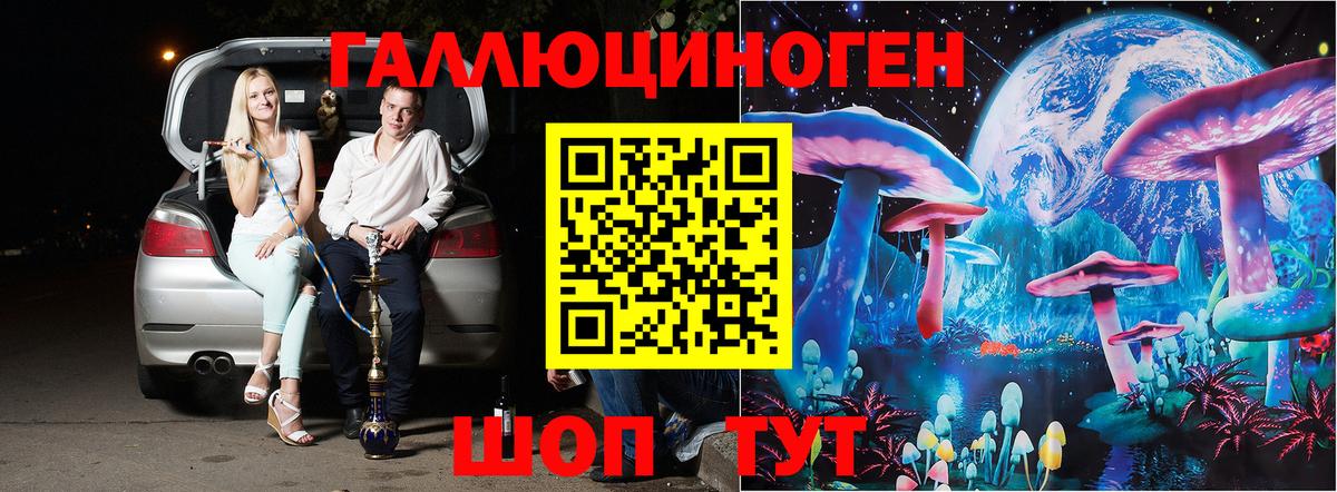 Псилоцибиновые грибы мицелий  Вход с VPN  Павловский Посад  Псилоцибиновые грибы Psilocybine cubensis 